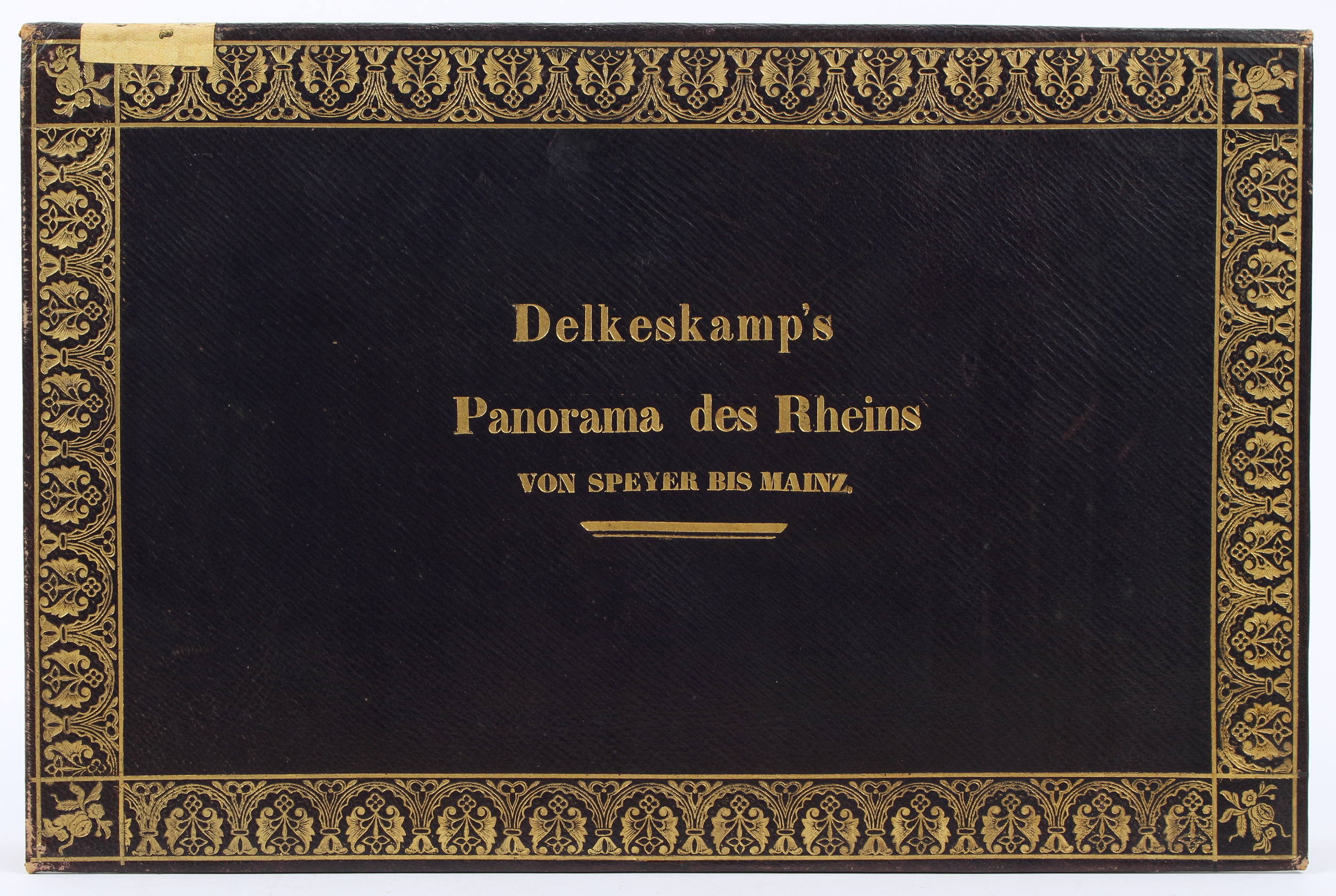 Delkeskamp, Neues Panorama des Rheins von Speyer bis Mainz