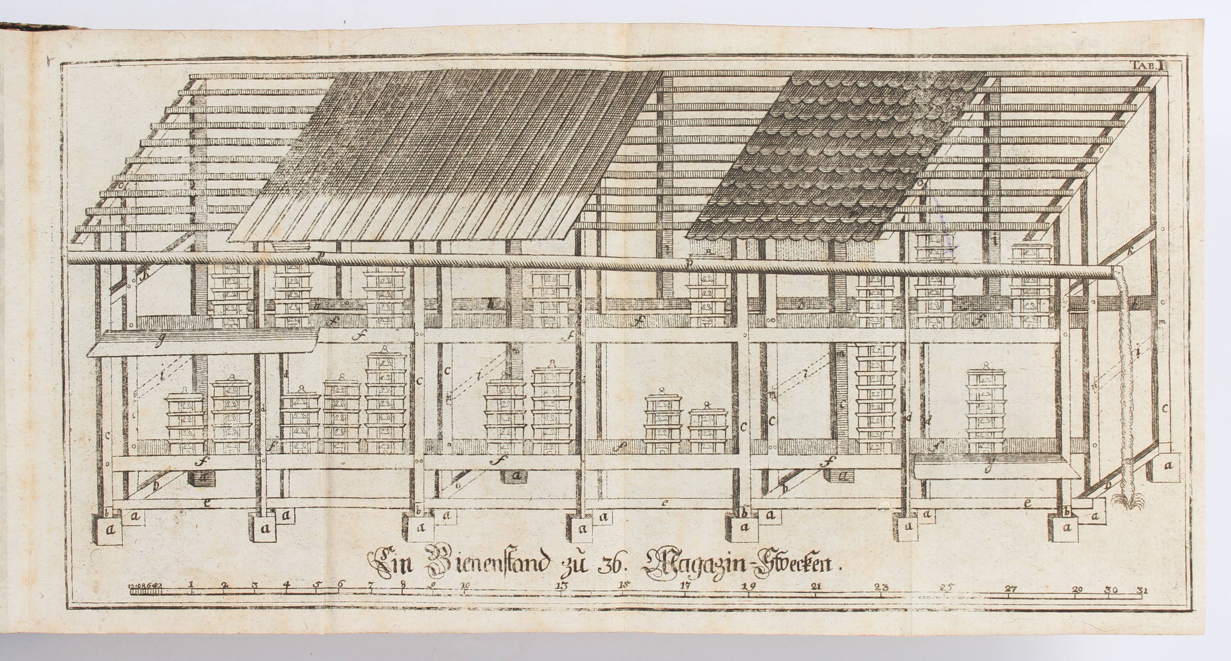 Christ, Anweisung zur Bienenzucht. 1802. Pp.