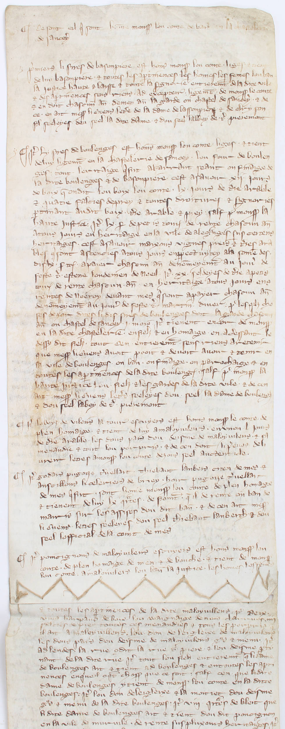 Seigneurs de Saney (Saulny). Handschrift um 1450