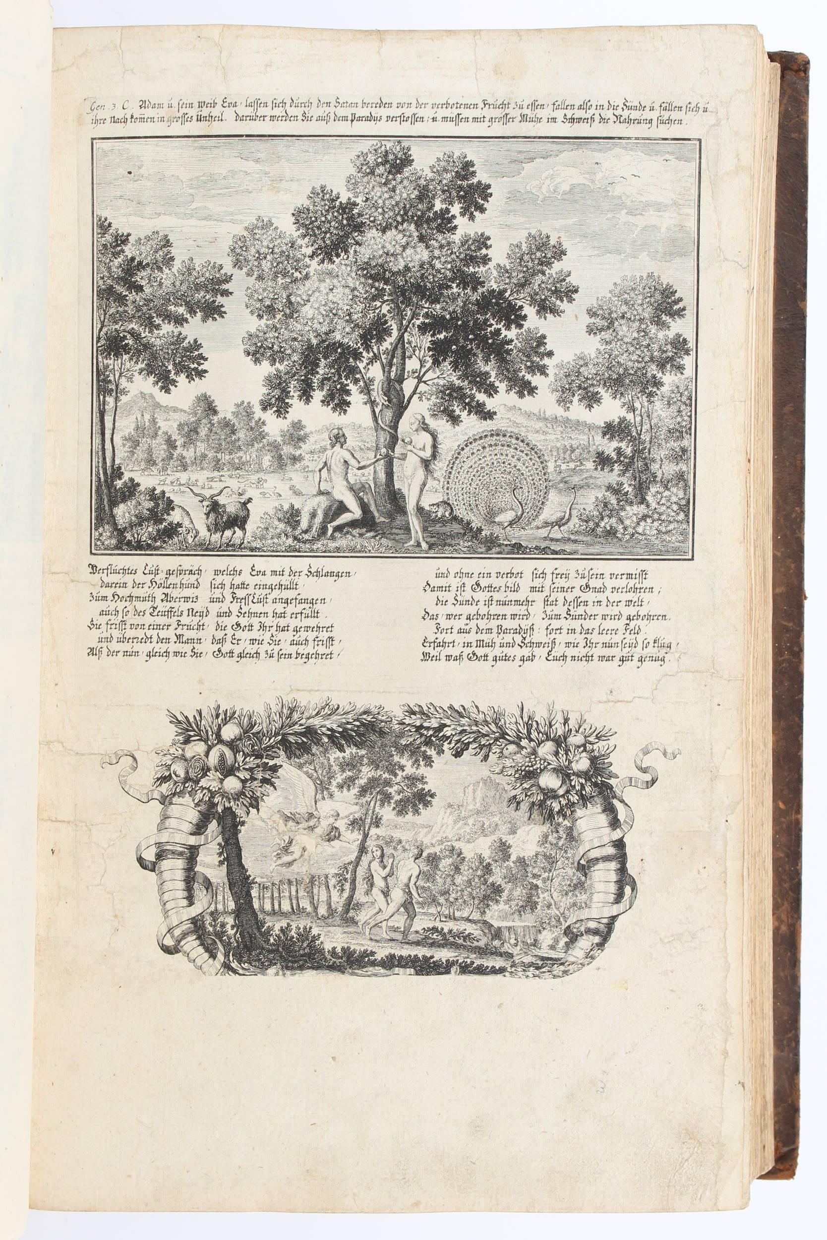 Krauss, Bilder-Bibel. Ldr.