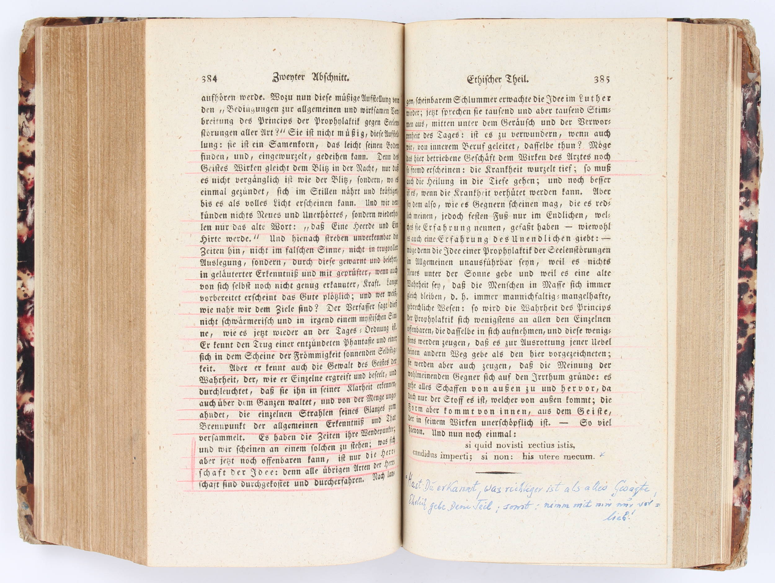 Heinroth, Lehrbuch der Störungen des Seelenlebens