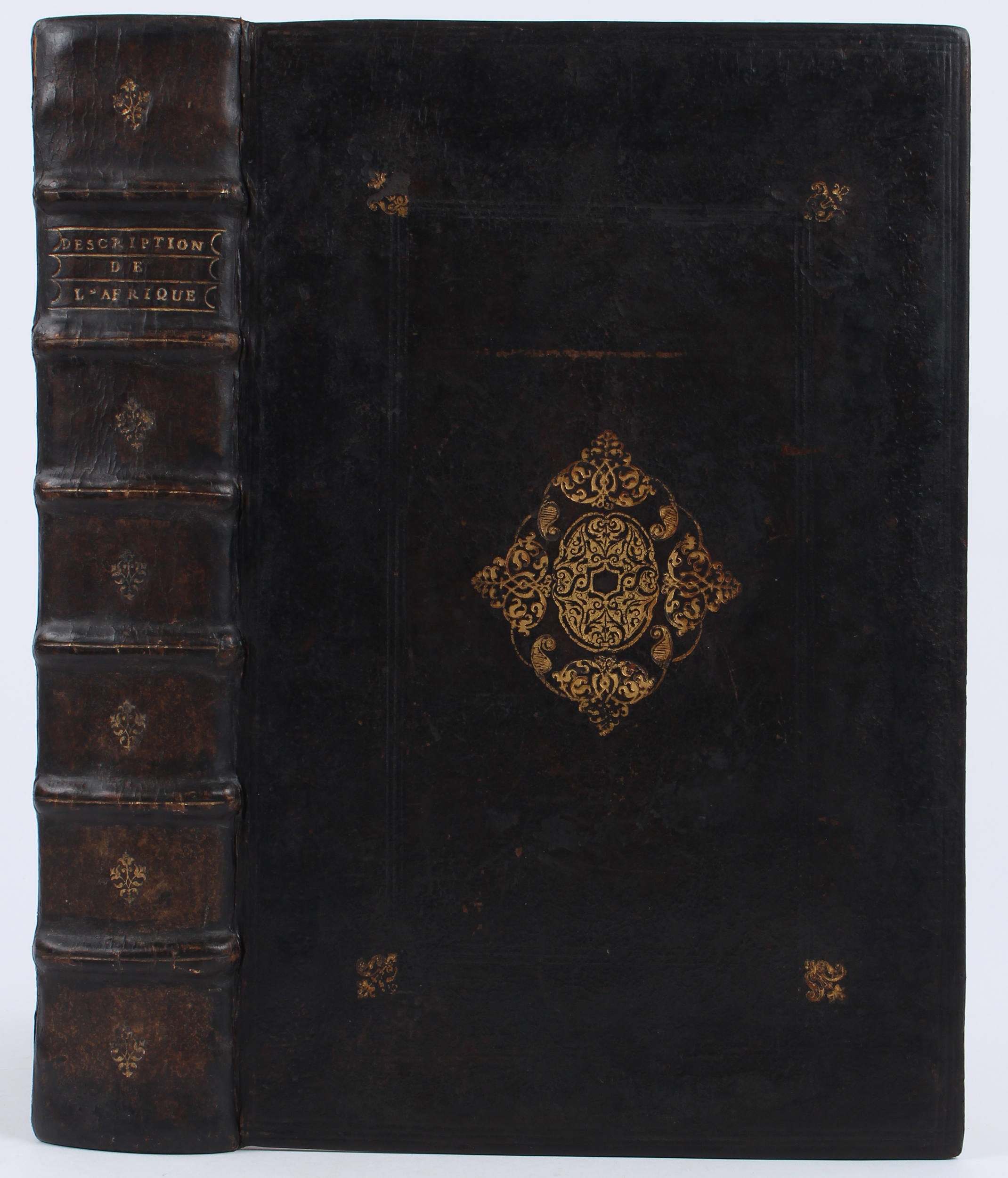 Leo Africanus, L'Afrique