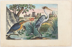 Vögel. 10 Bll. Collaert