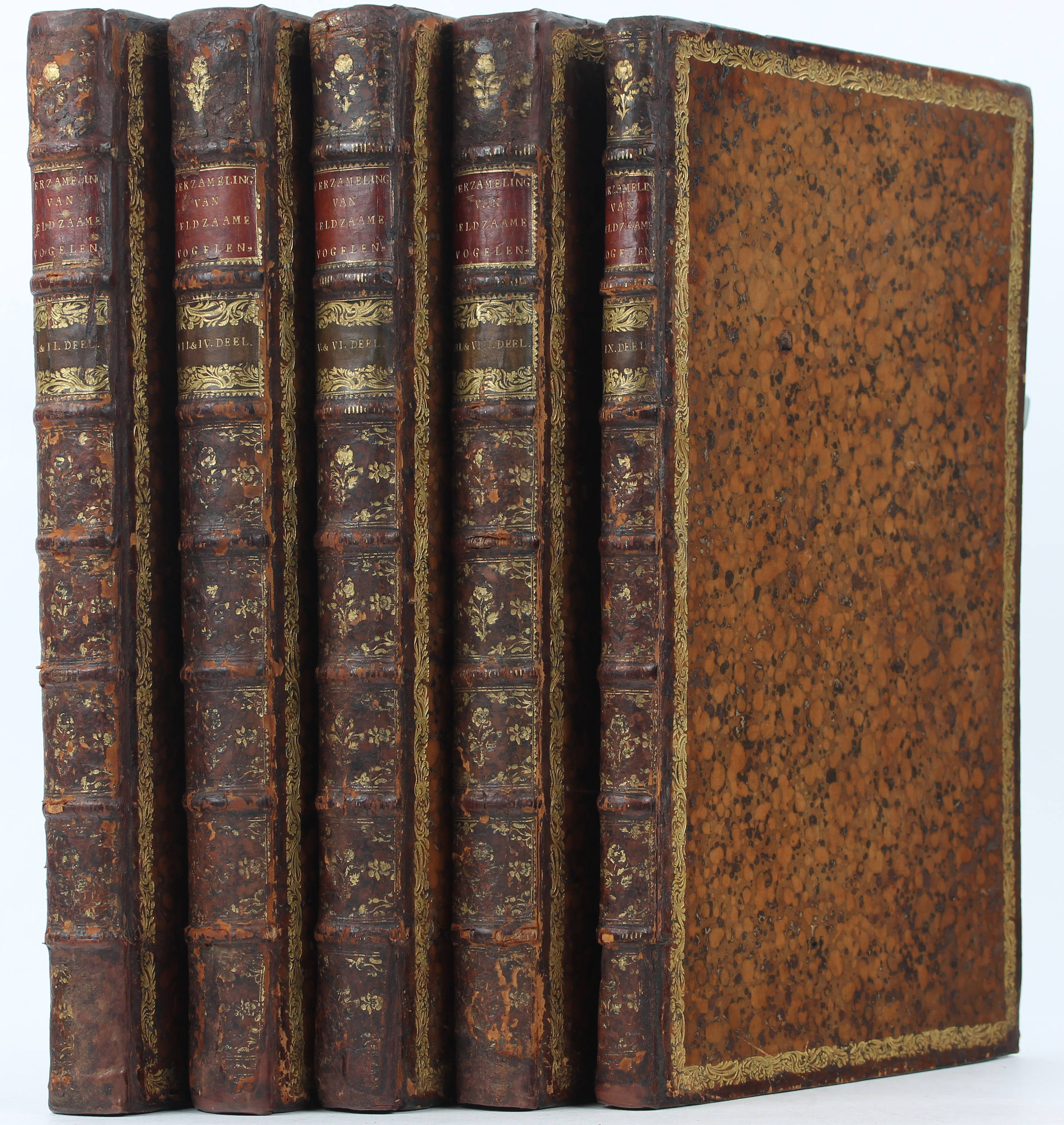 Seligmann, Verzameling van Vogelen. 9 in 5 Bdn.