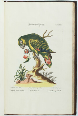 Seligmann, Verzameling van Vogelen. 9 in 5 Bdn.