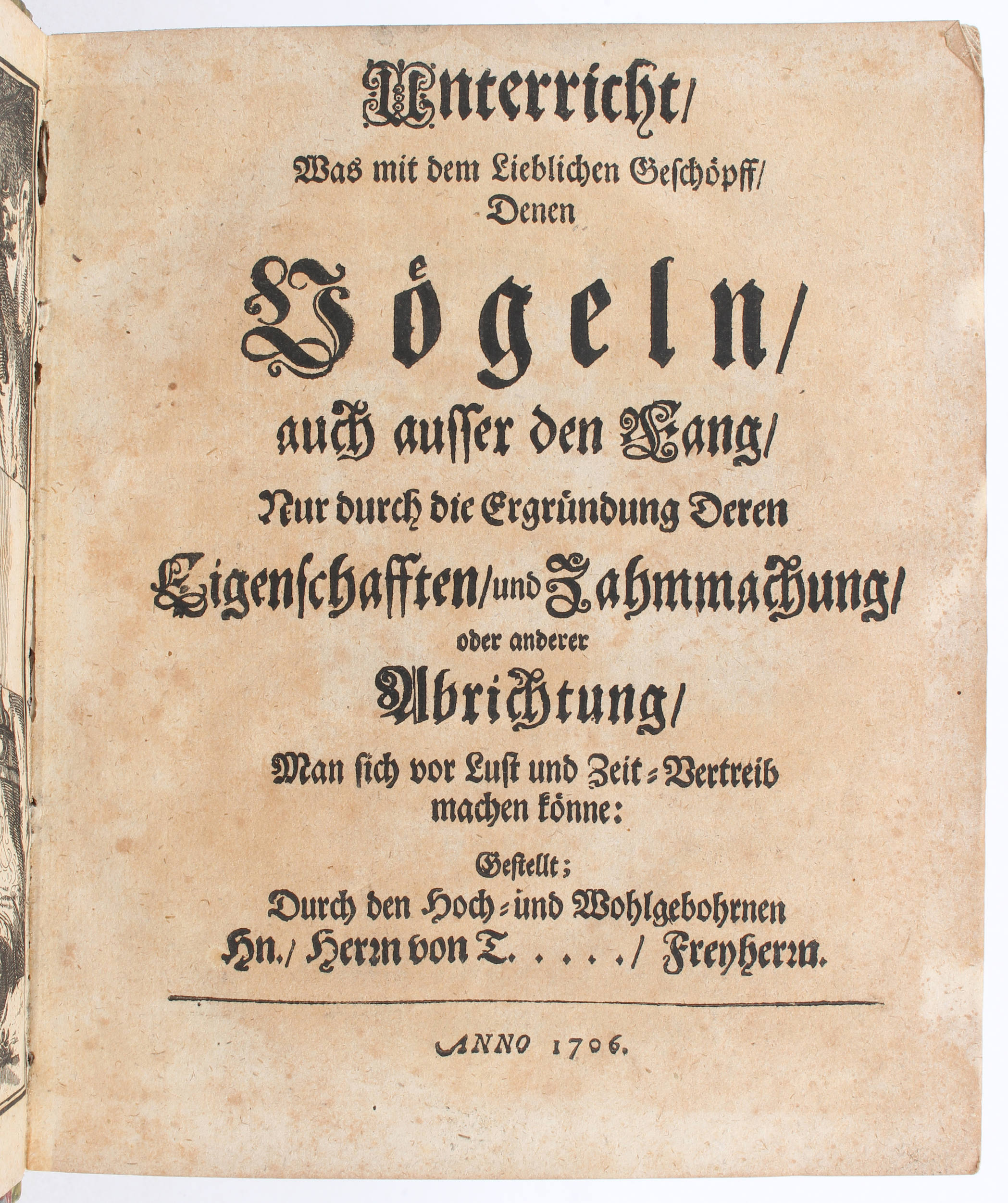 Pernau, Unterricht, was mit Vögeln man machen könne