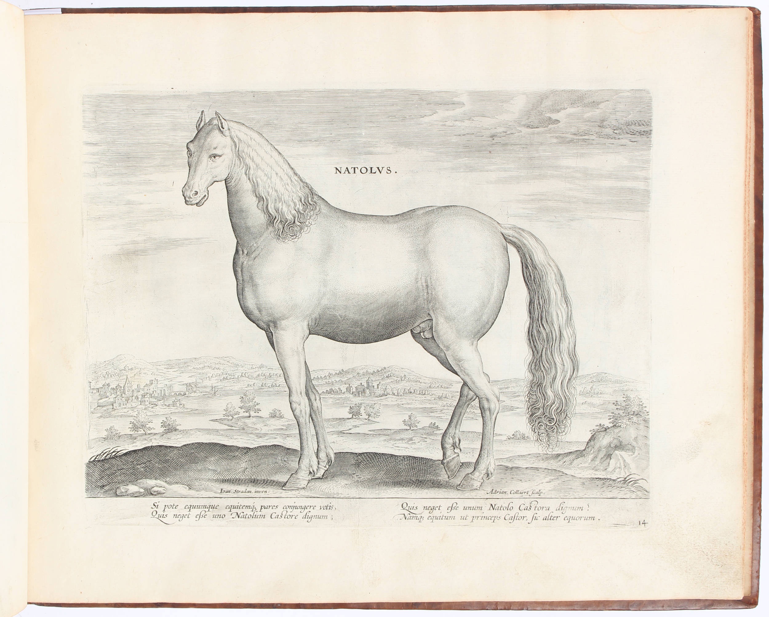 Stradanus, Equile Ioannis Austriaci