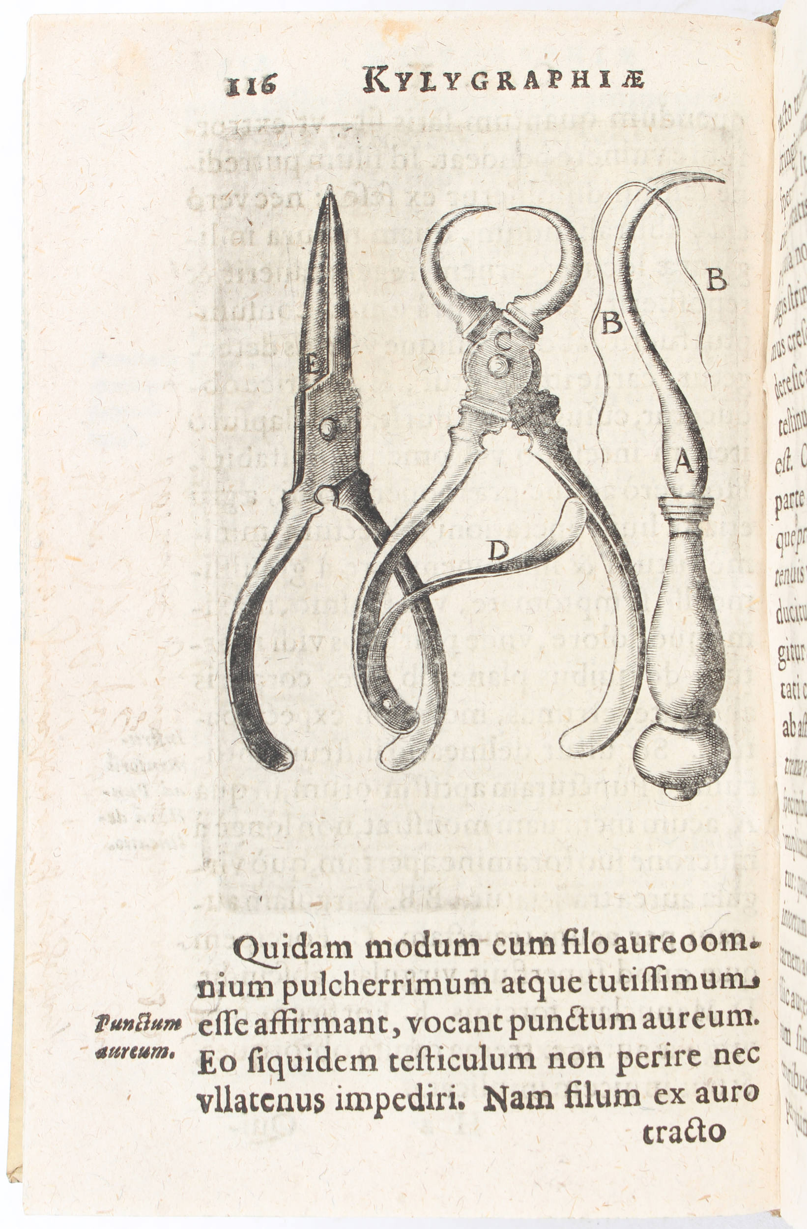 Geiger, Kelegraphia sive descriptio herniarum