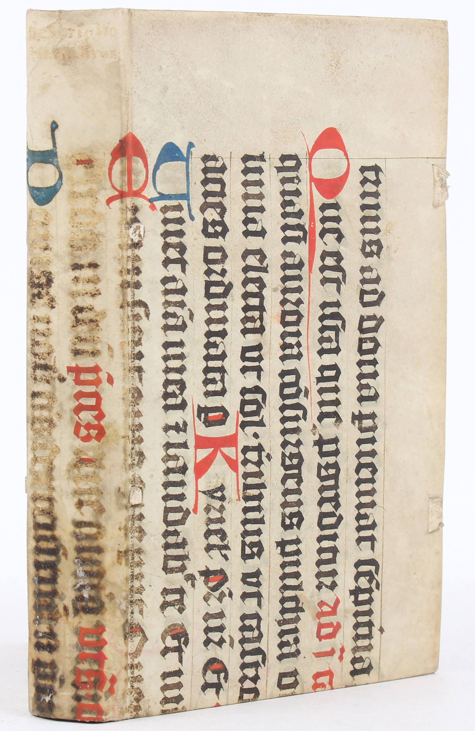 Geiger, Kelegraphia sive descriptio herniarum