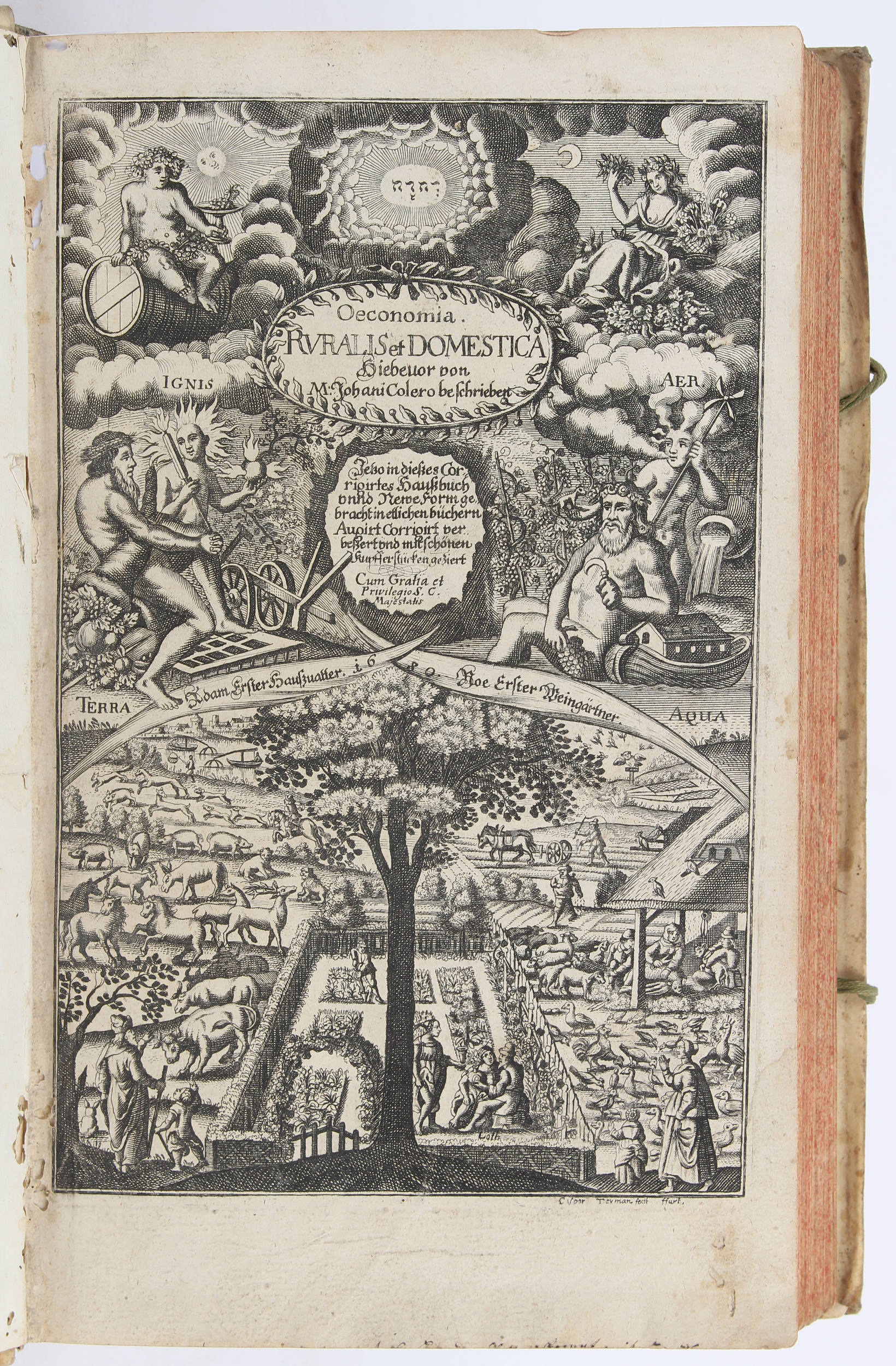 Colerus, Oeconomia ruralis. 1692