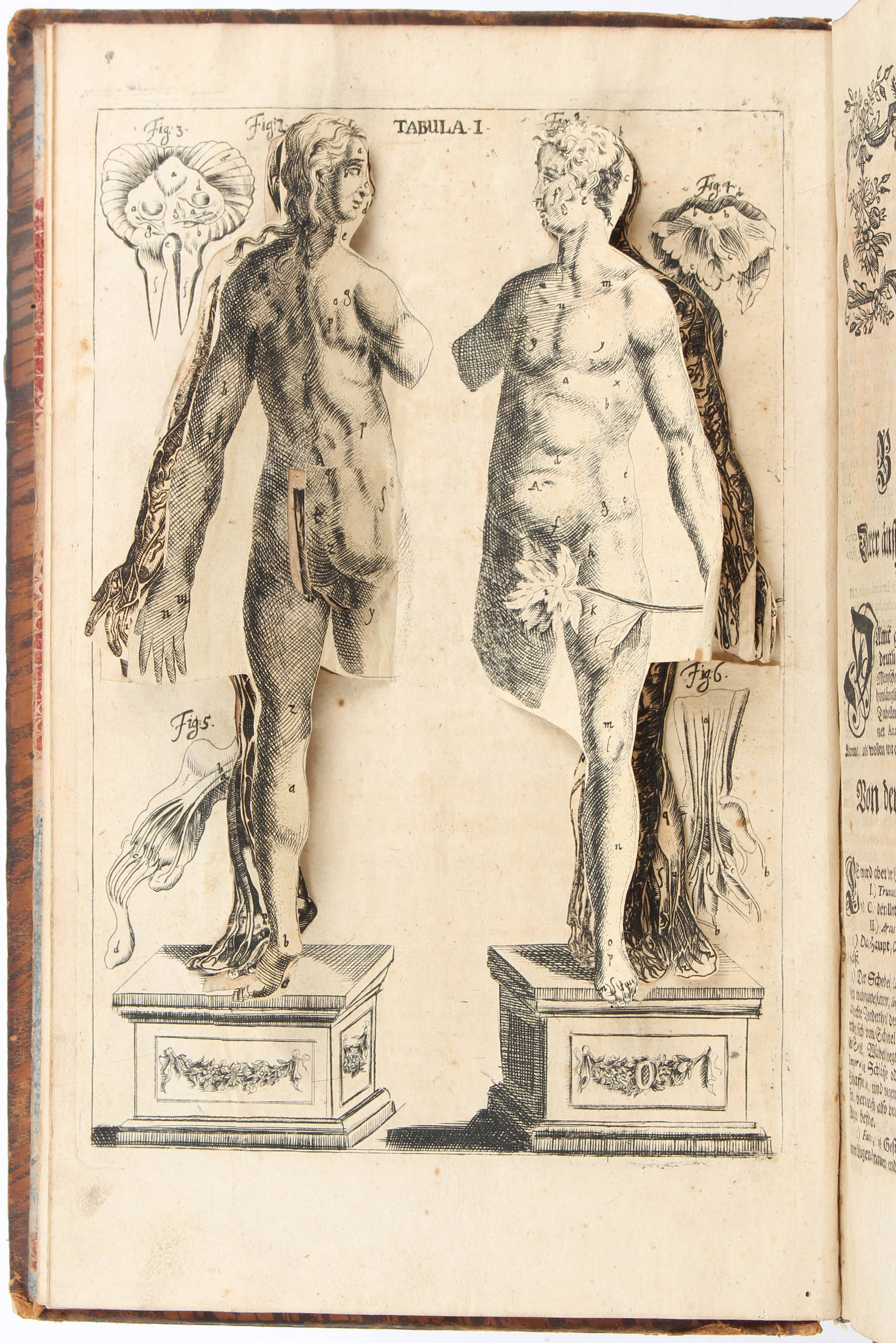 Hellwig, Nosce te ipsum