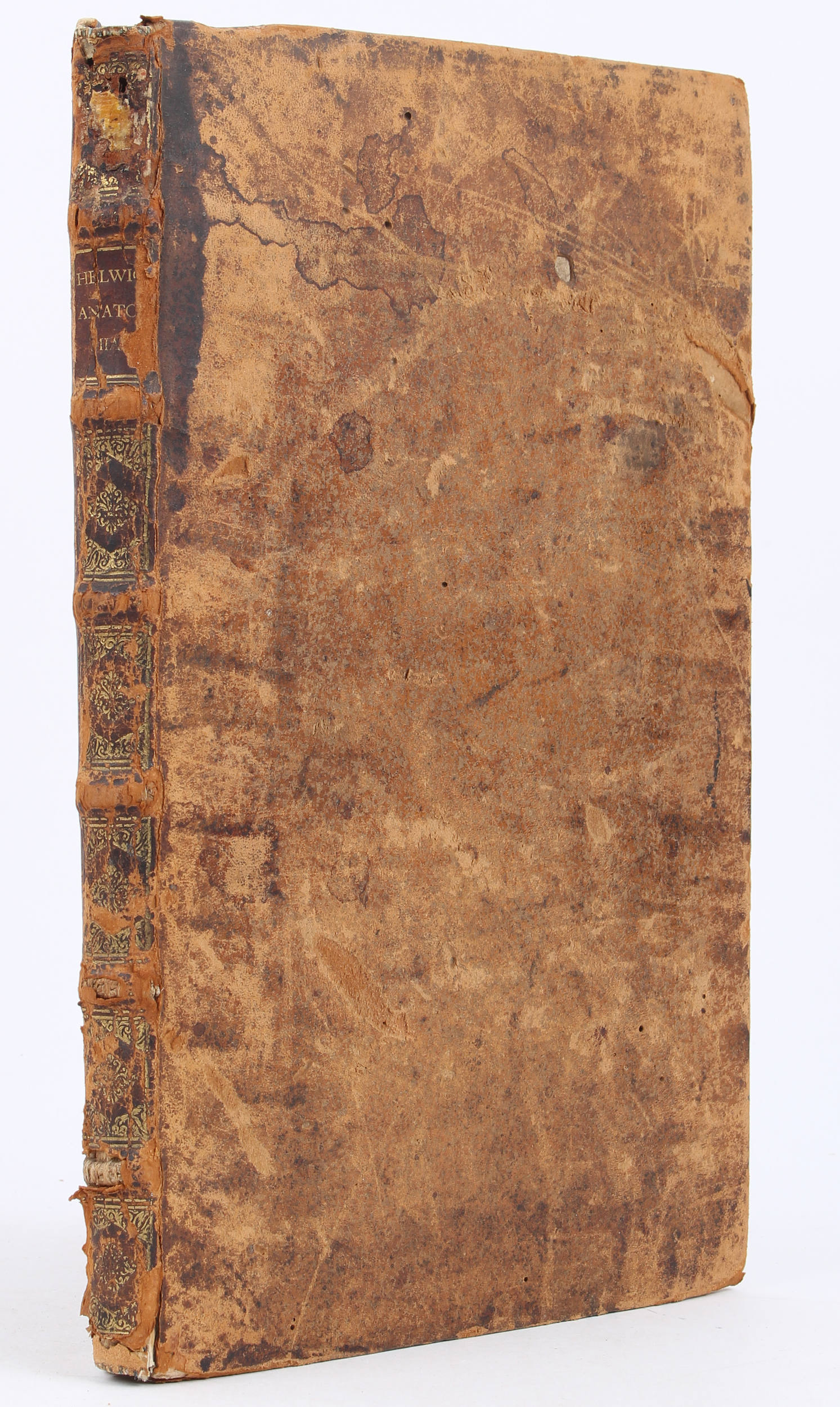 Hellwig, Nosce te ipsum