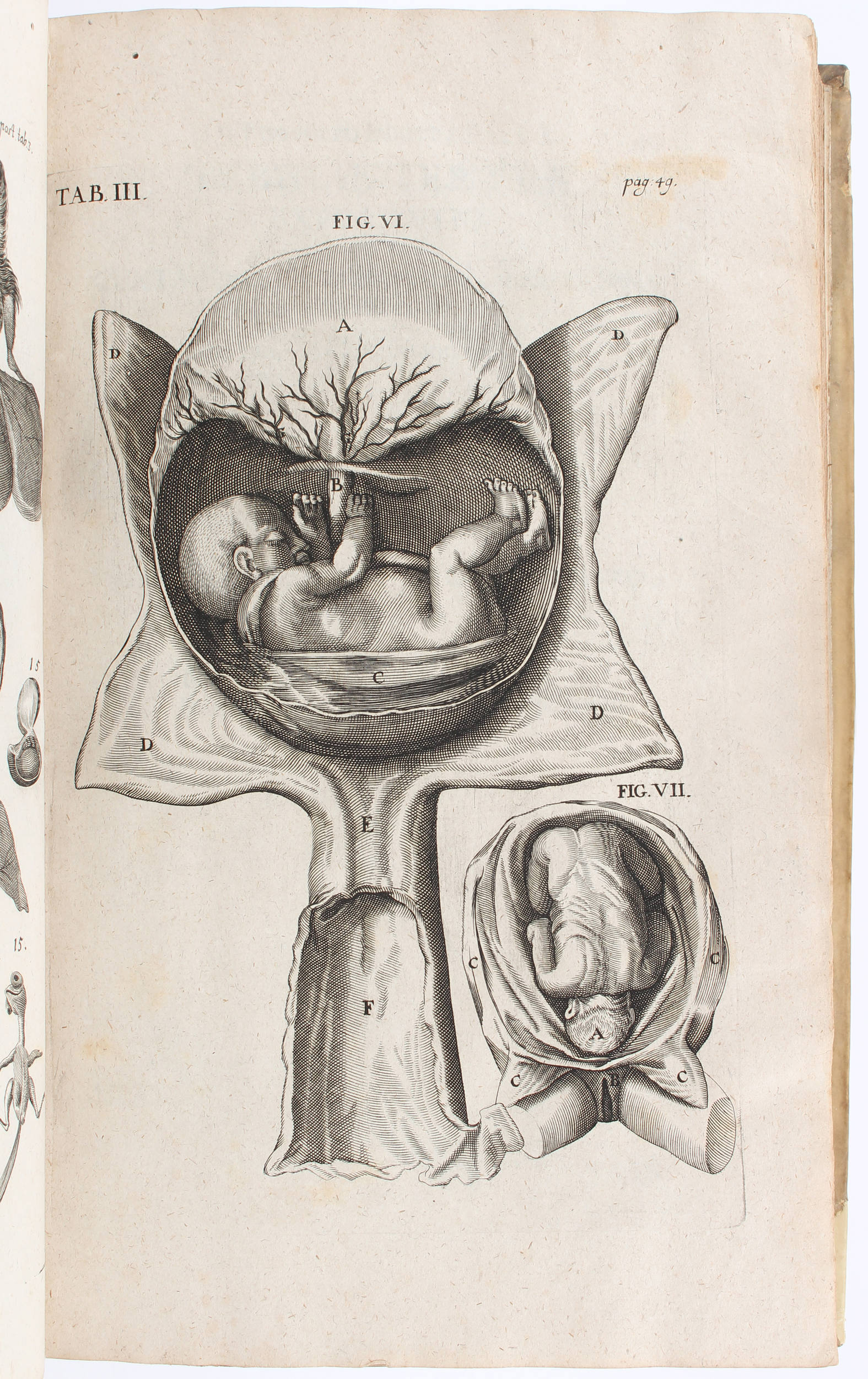 Fabricius, Opera anatomica & physiologica