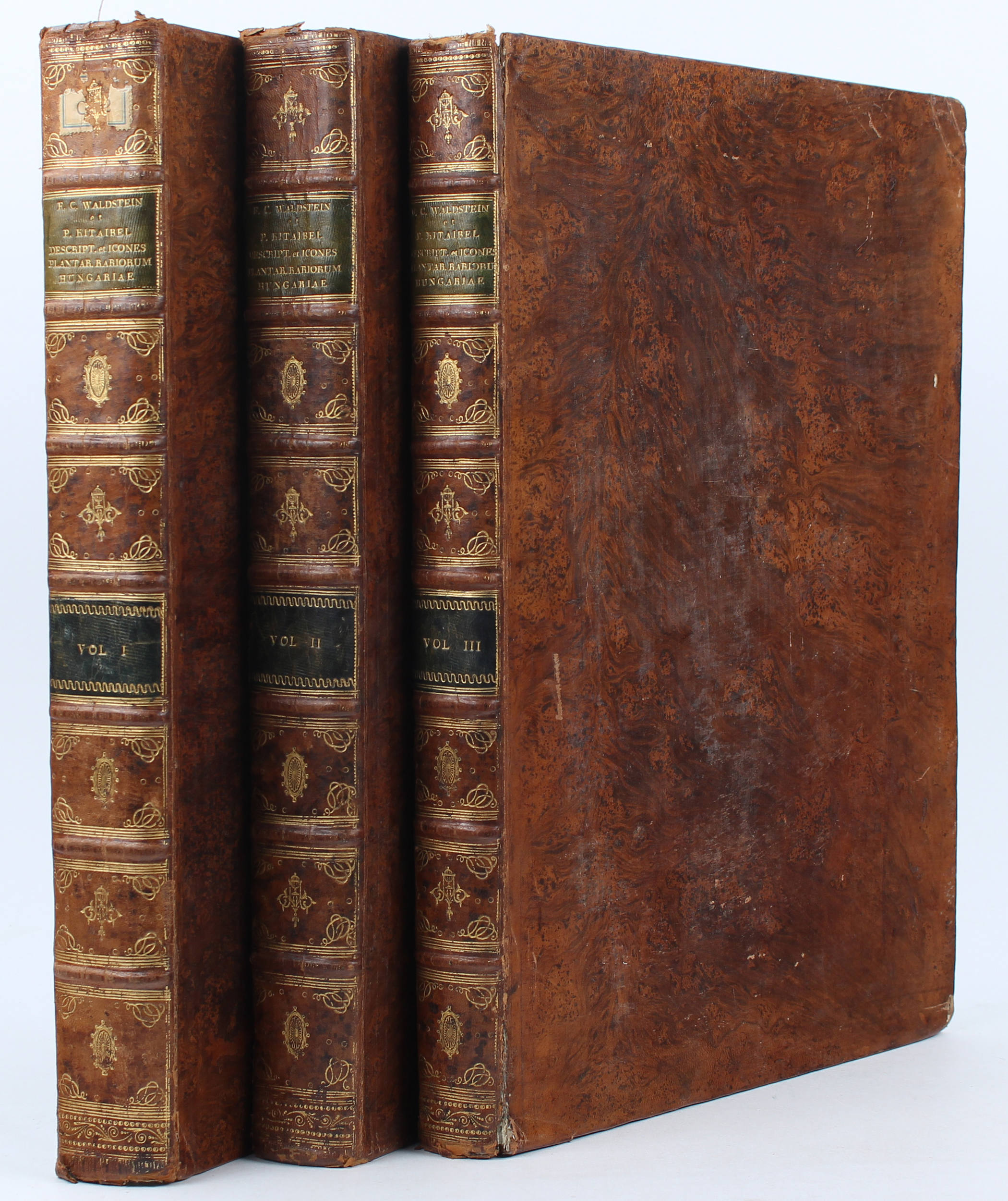 Waldstein/Kitaibel, Plantarum Hungariae. 3 Bde.