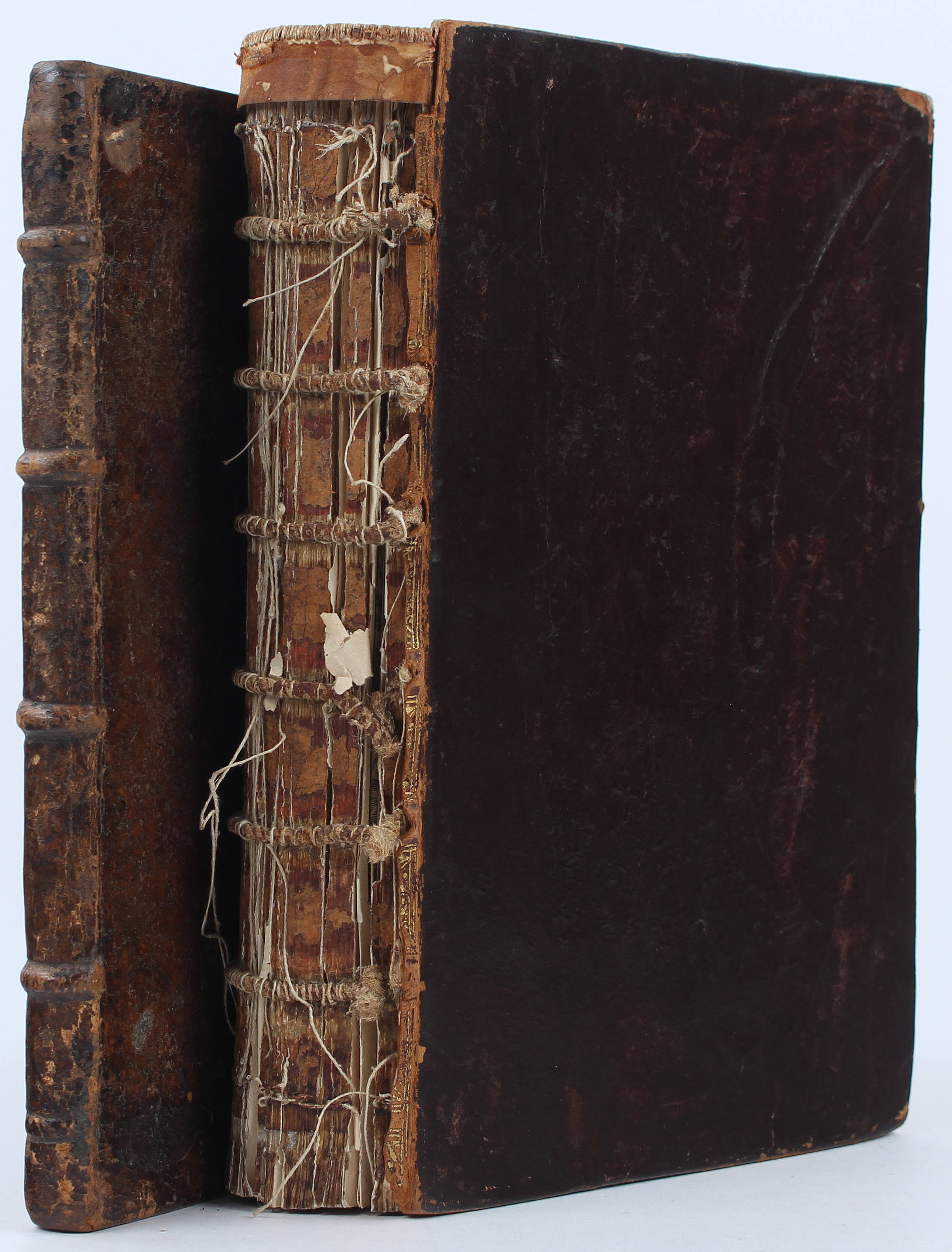 Münster Cosmographia-Fragment / 2 Bde.