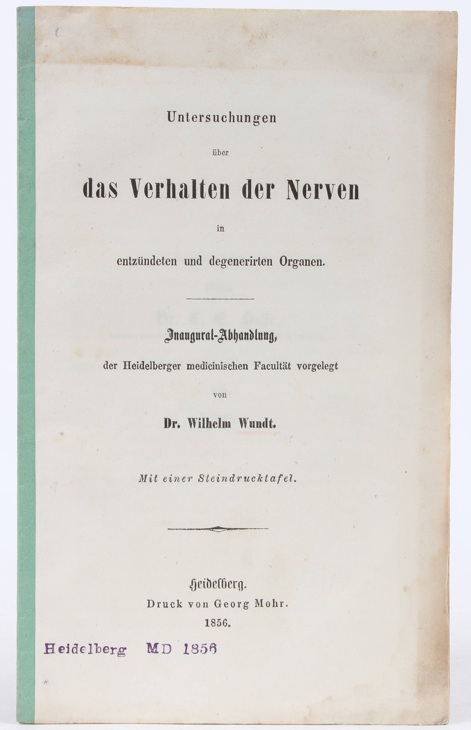 Wundt, Untersuchungen über das Verhalten der Nerven