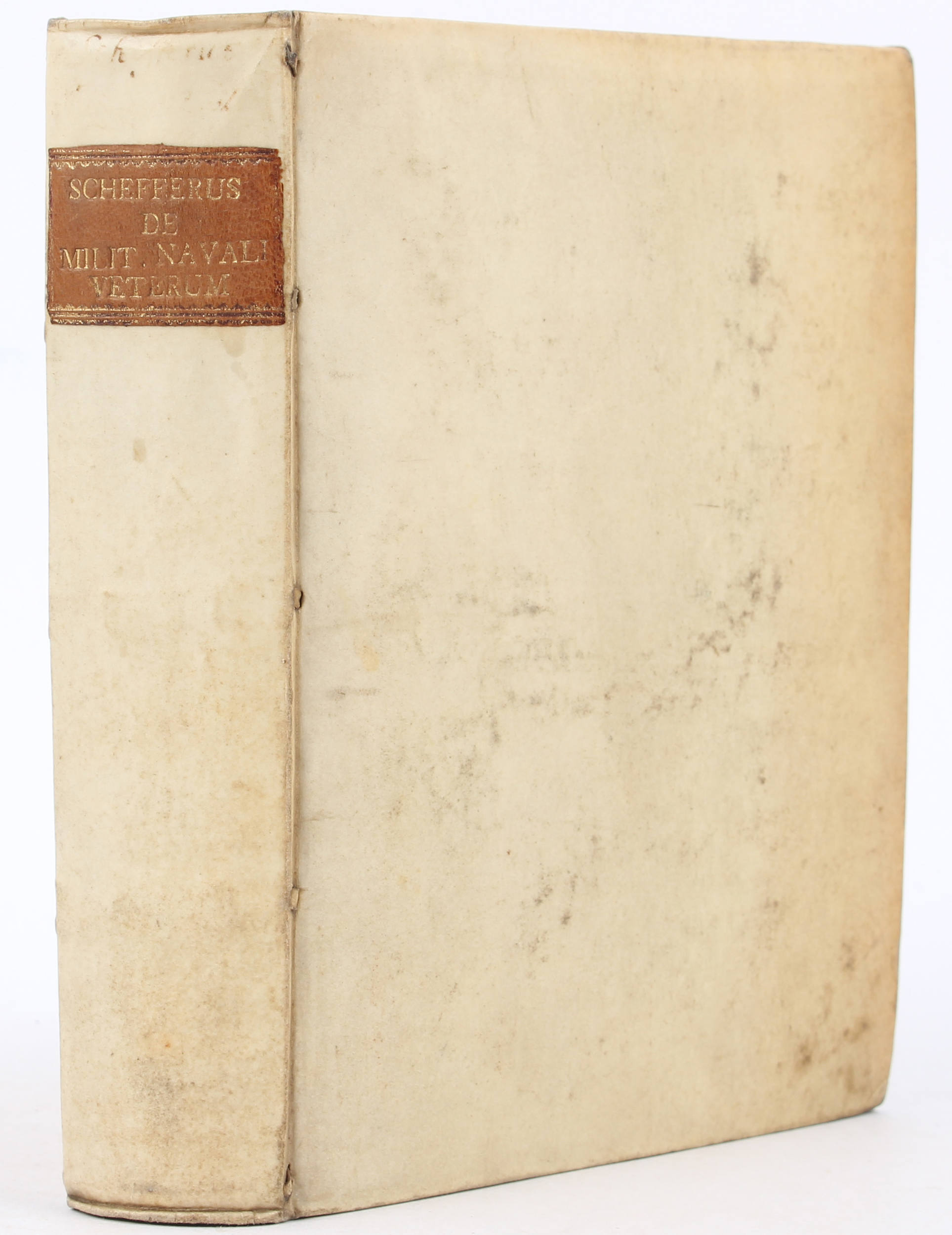 Snellius, Tiphys Batavus