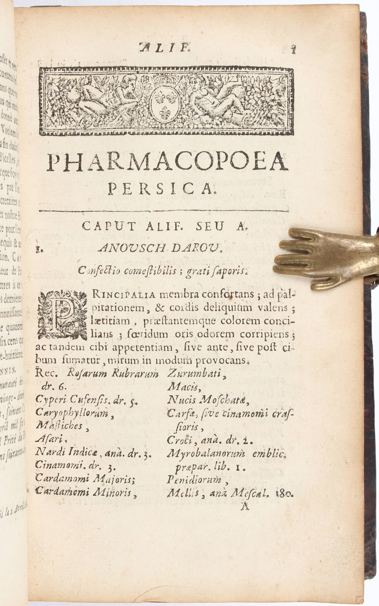 Pharmacopoea Persica