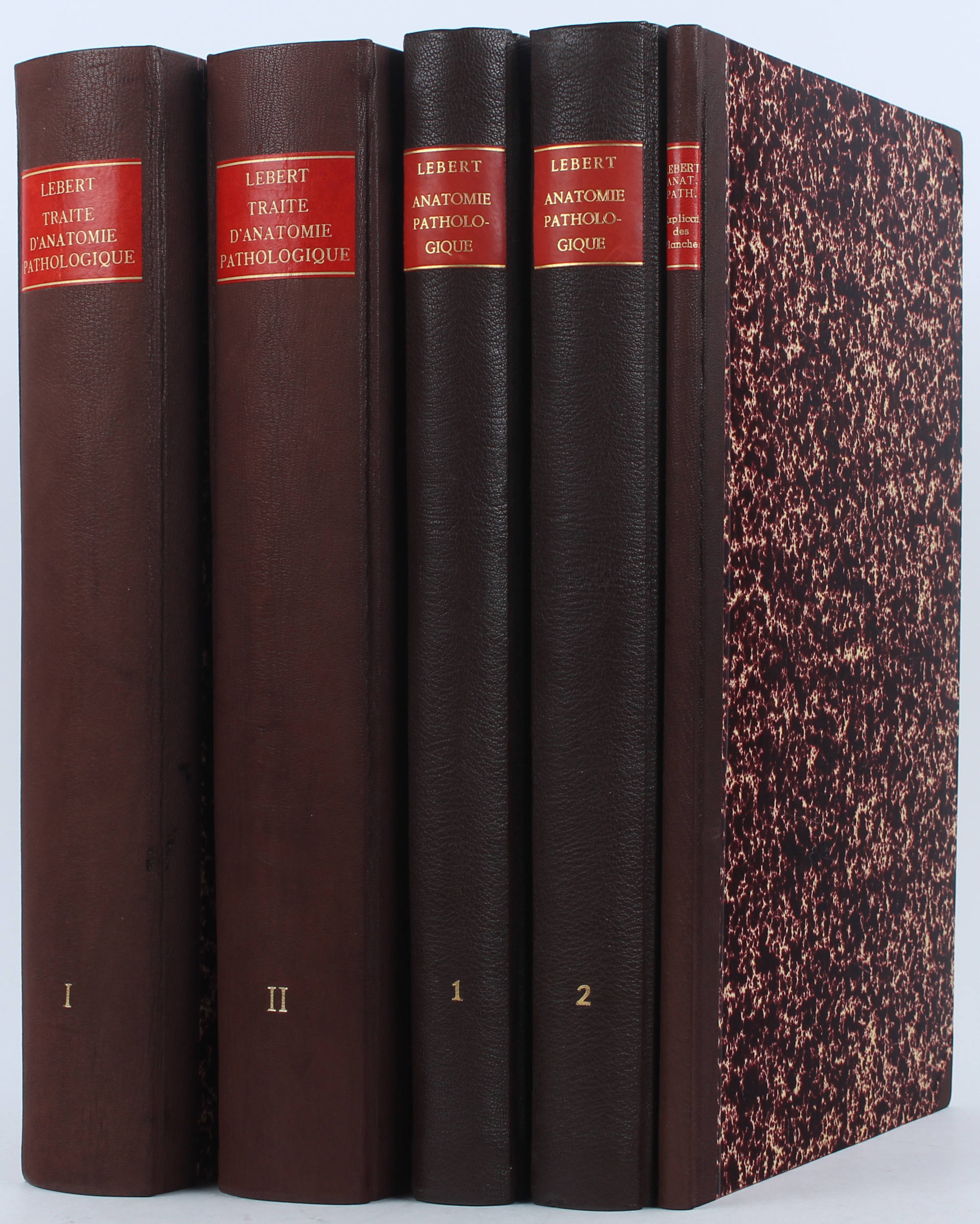 Lebert, Traité d'anatomie. 5 Bde.