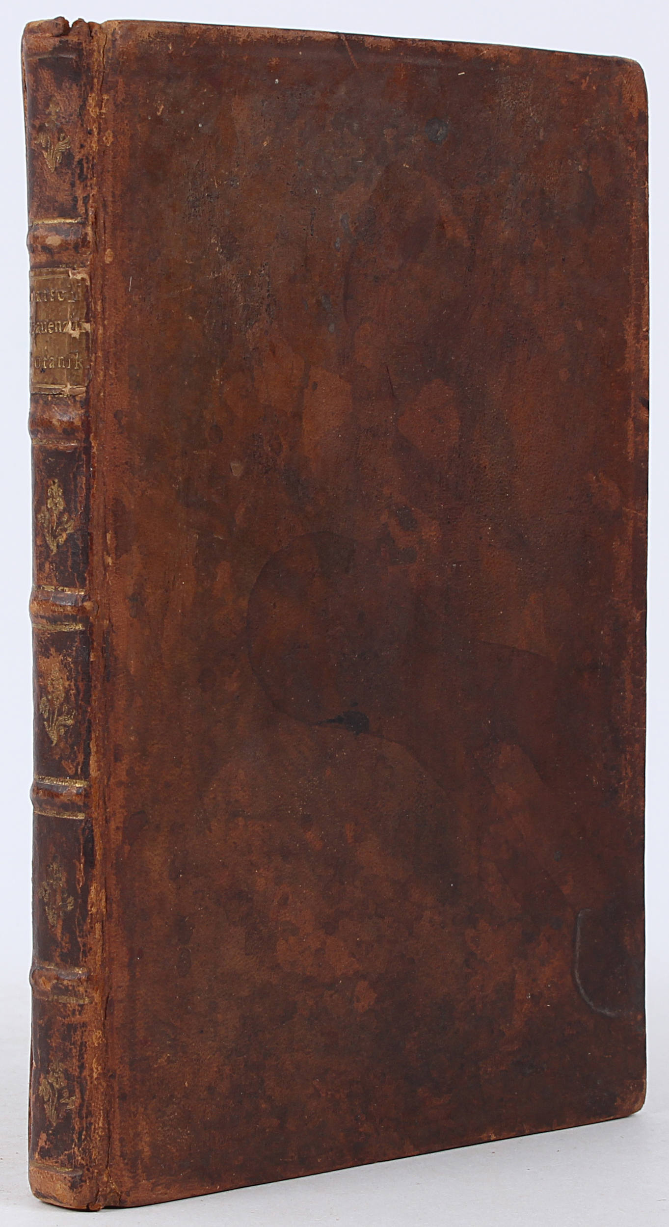 Batsch, Botanik für Frauenzimmer