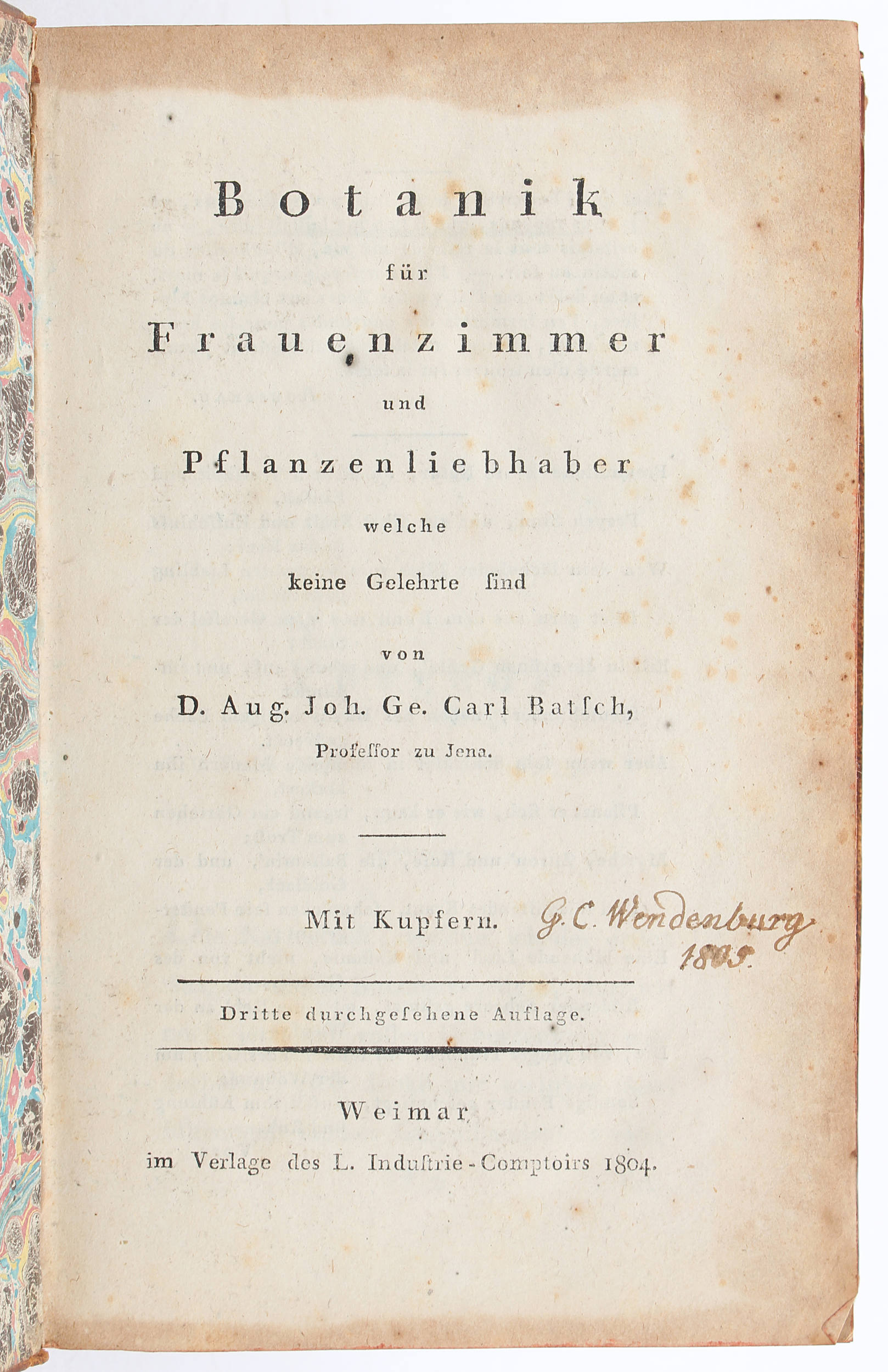 Batsch, Botanik für Frauenzimmer