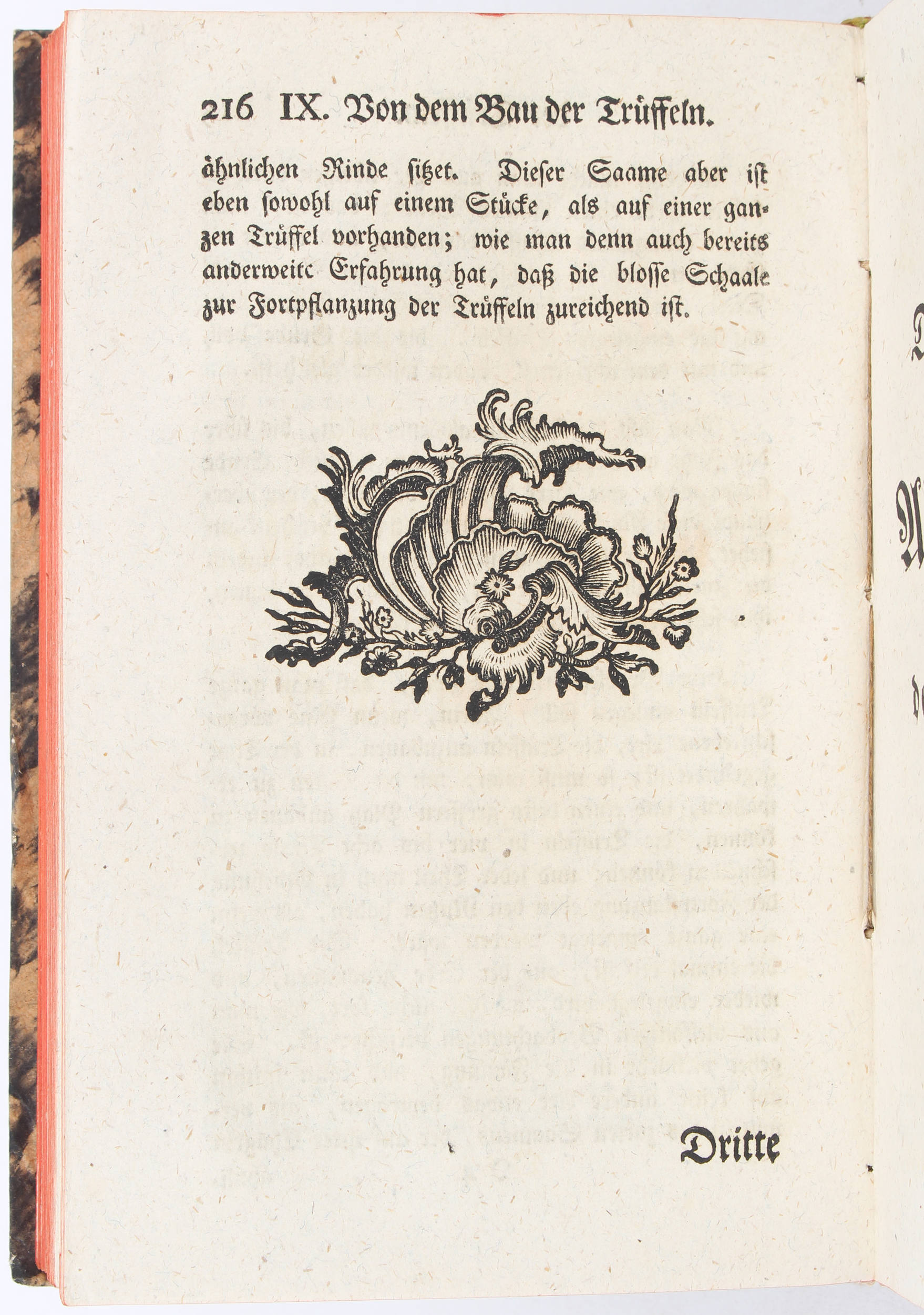 Justi, Oeconomische Schriften. 2 Bde.