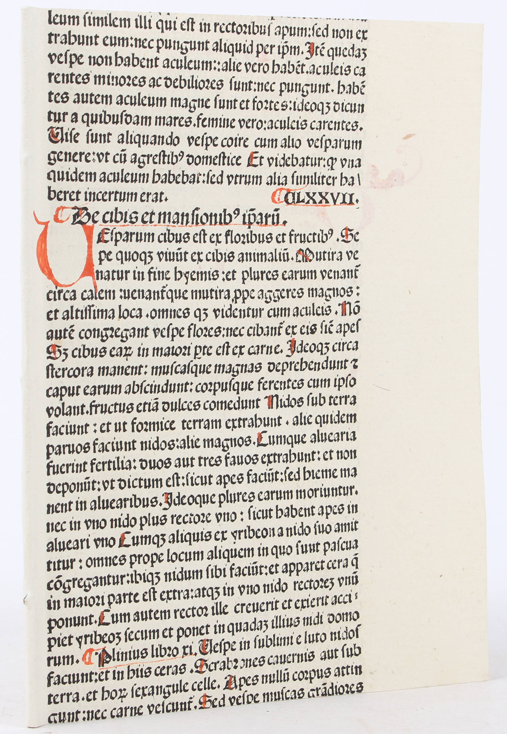 Melanchthon, Ein kurtze vermanung