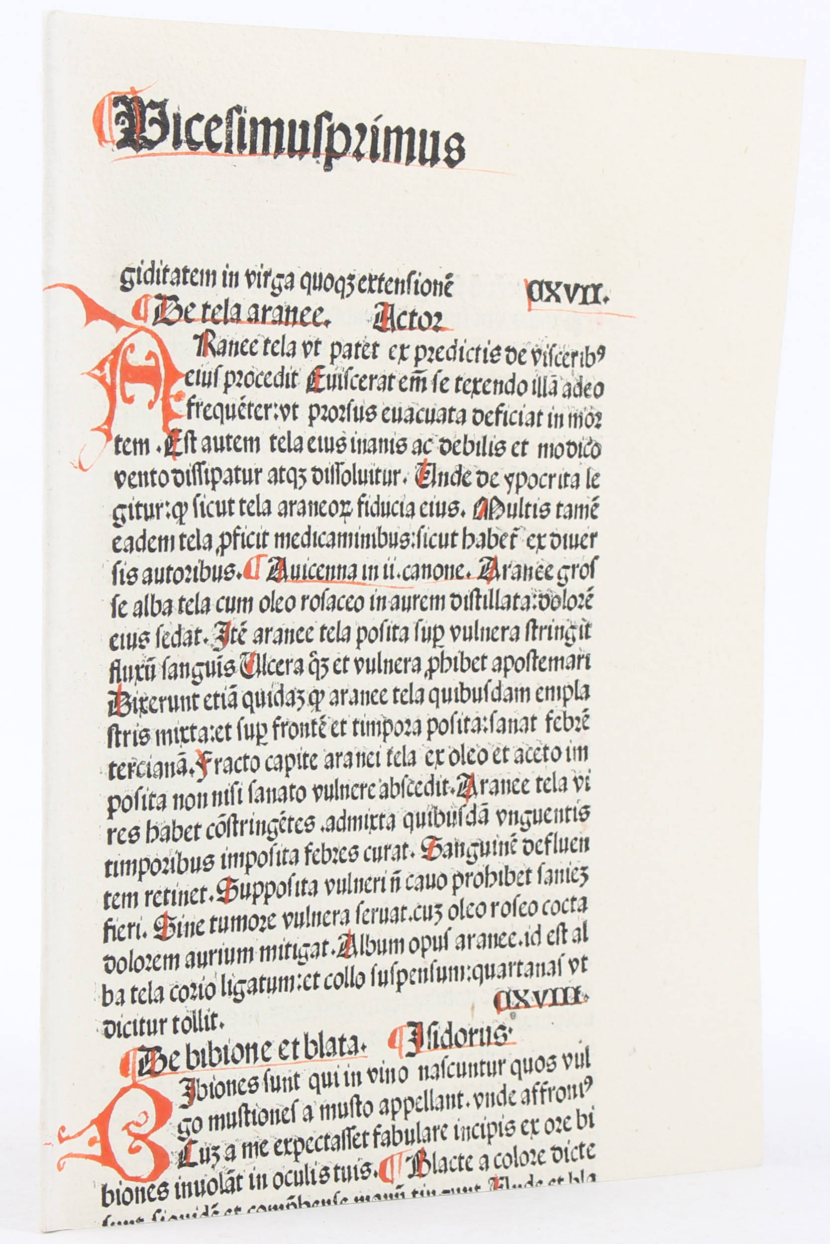 Erasmus, Von der einigkeyt der kirchen