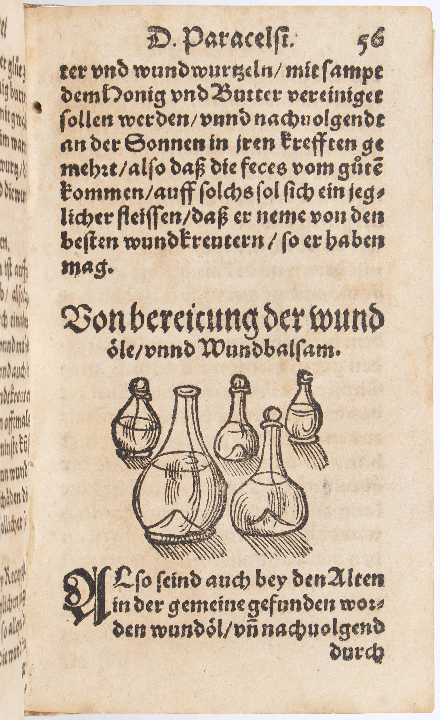 Paracelsus, Wundt und Leibartznei