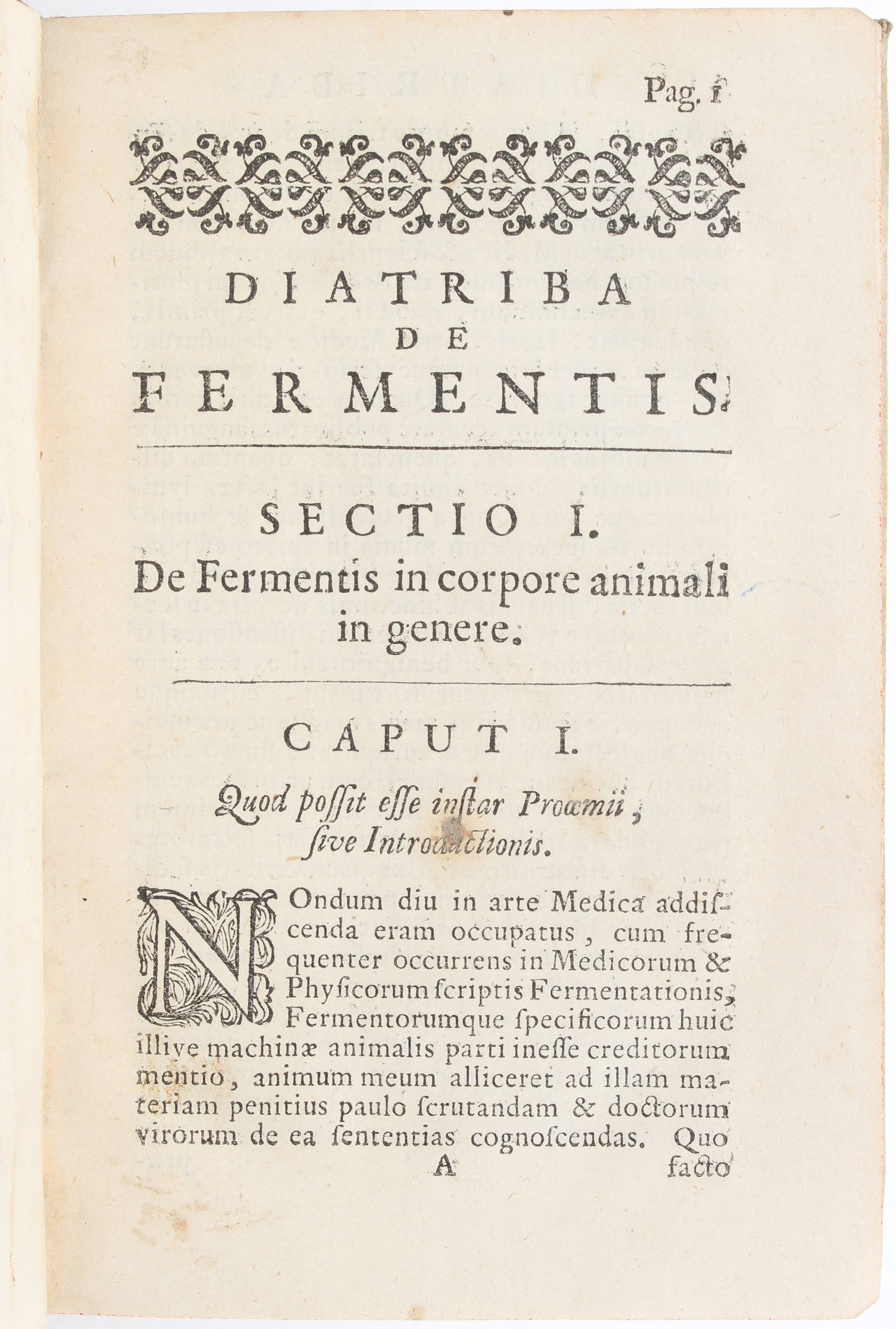 Geuder, Diatriba de fermentis