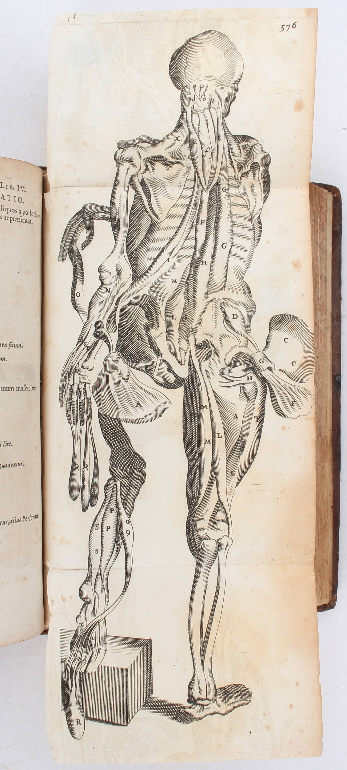 Bartholin, Anatome quartum renovata