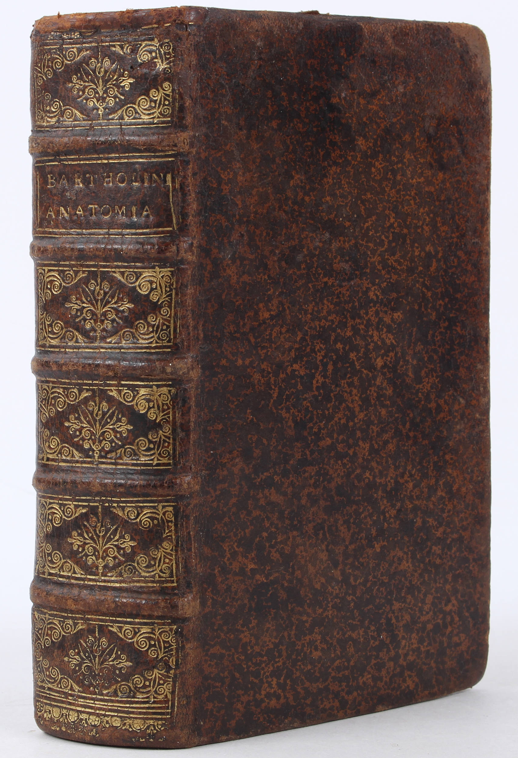 Bartholin, Anatome quartum renovata