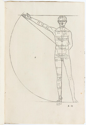 Dürer, De symmetria