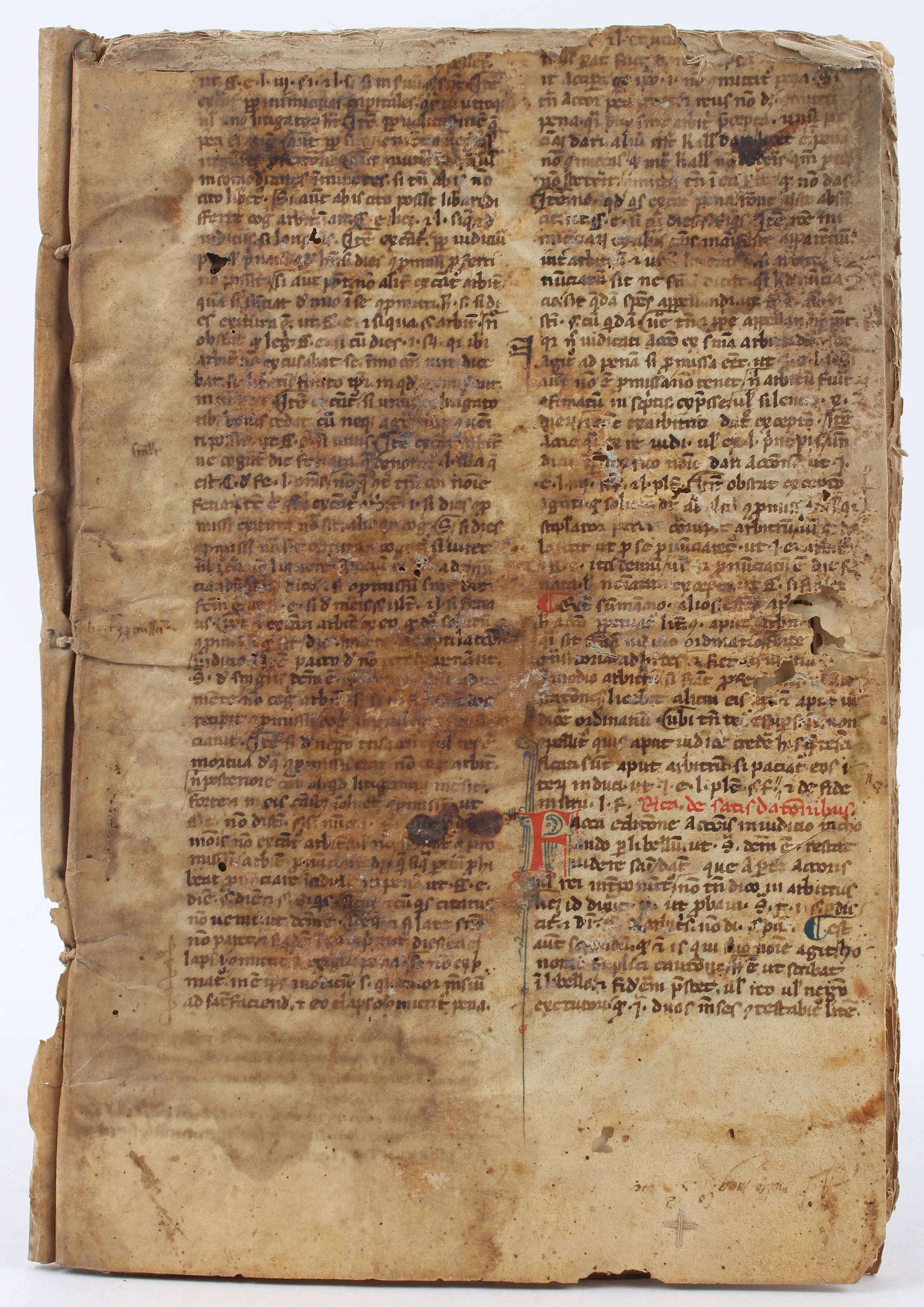 (Bruni), Aquila Volante