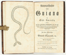 Bancroft, Naturgeschichte von Guiana