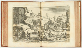 Brown, Sonderbare Reisen