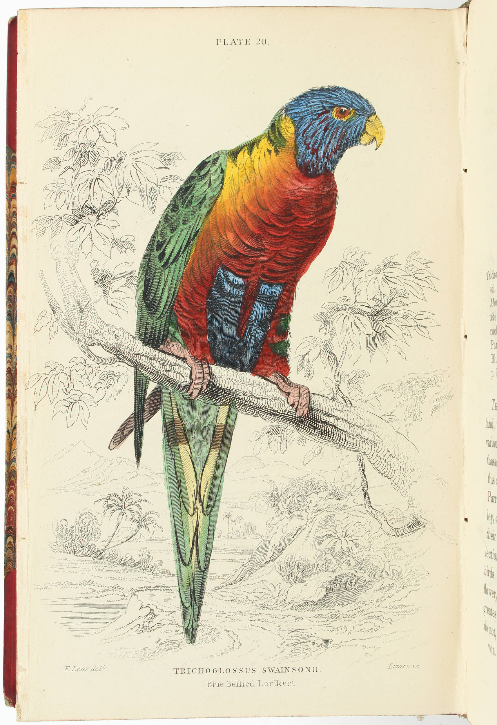 Jardine, Naturalist's library. 40 Bde.
