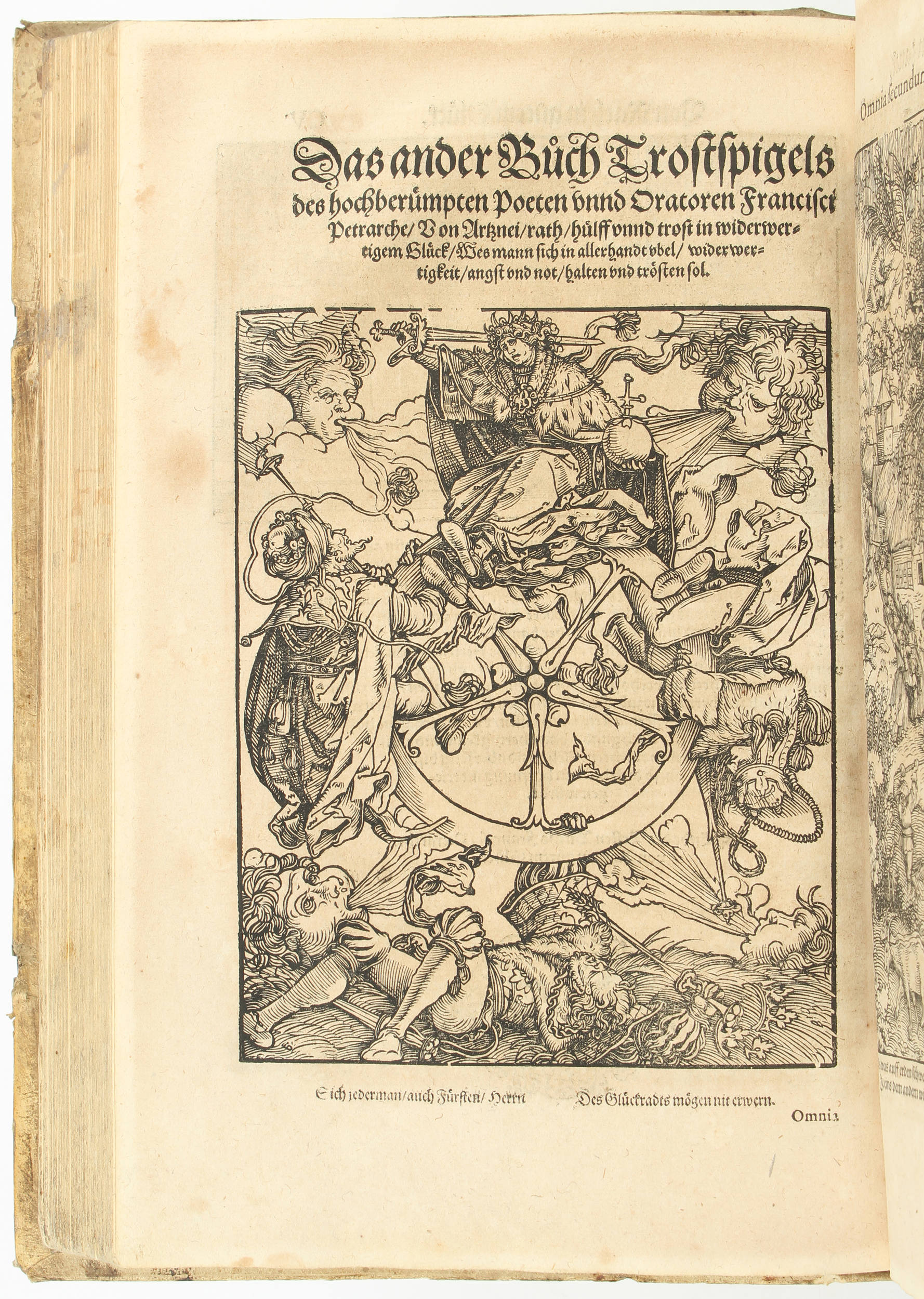 Petrarca, Trostspiegel / 2 in 1 Bd.