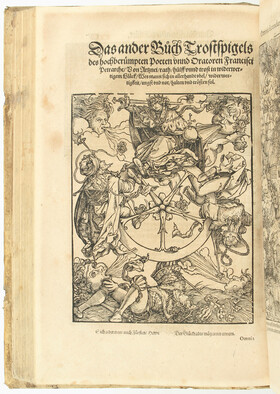 Petrarca, Trostspiegel / 2 in 1 Bd.