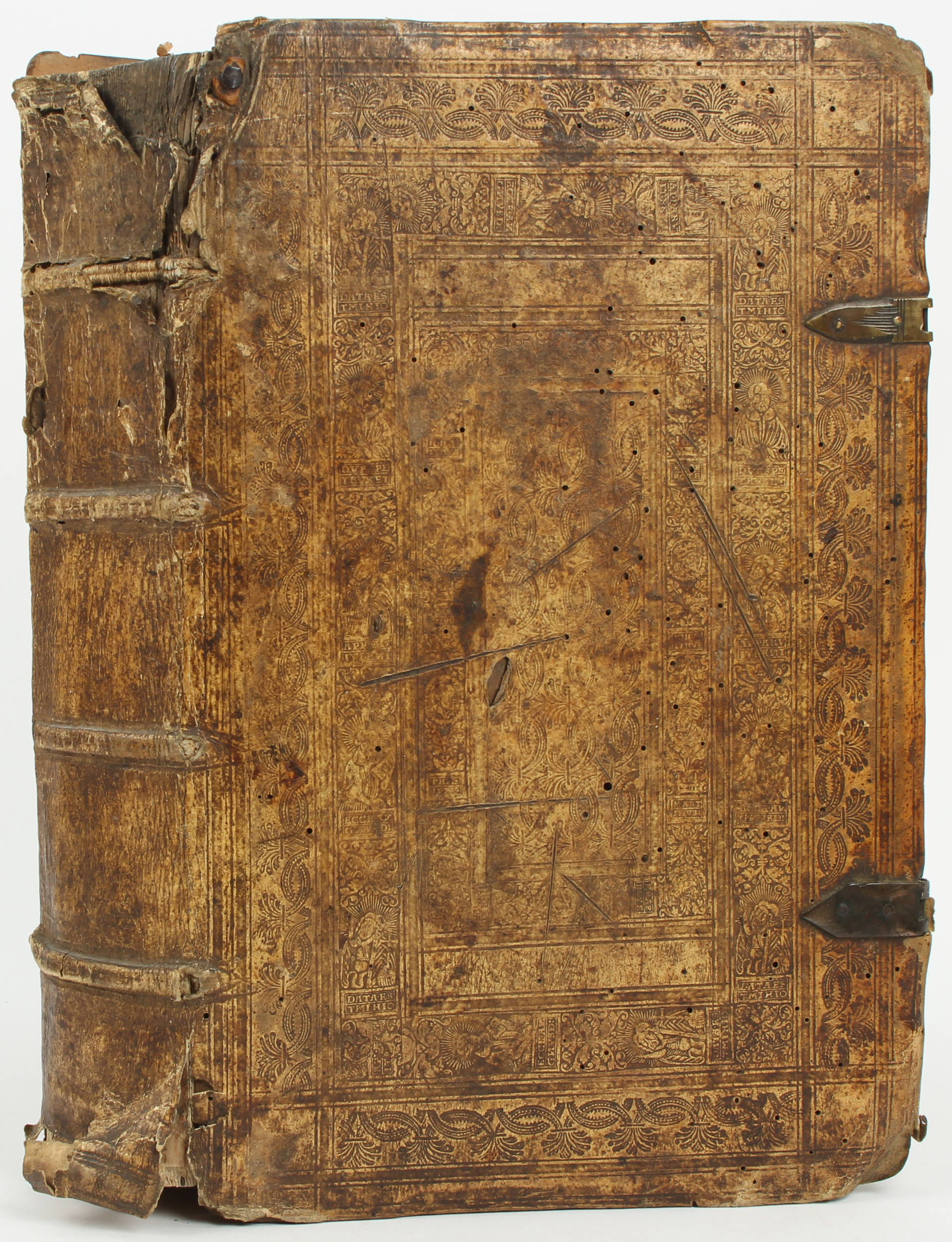 Bock, Kreutterbuch. 1565