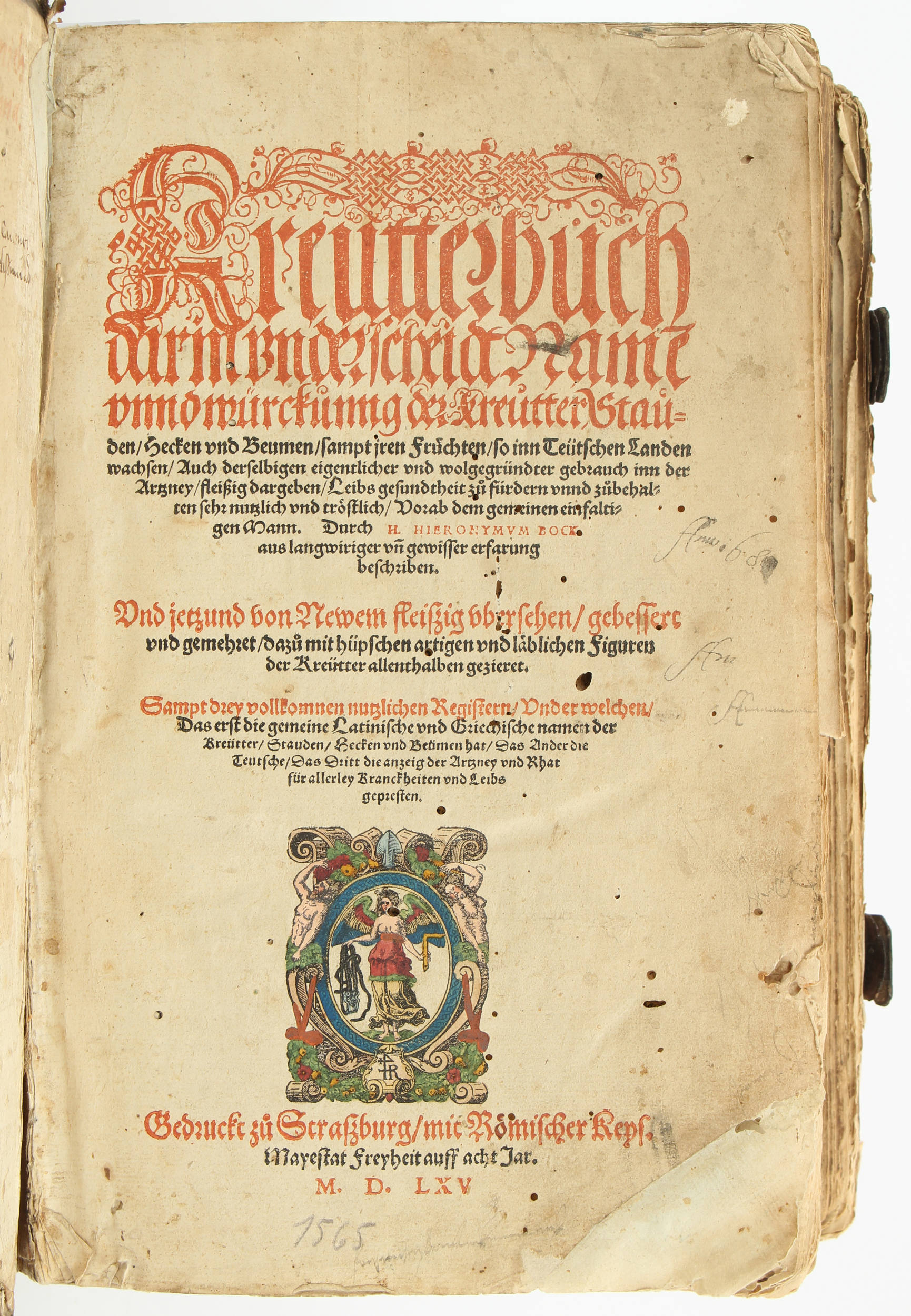 Bock, Kreutterbuch. 1565