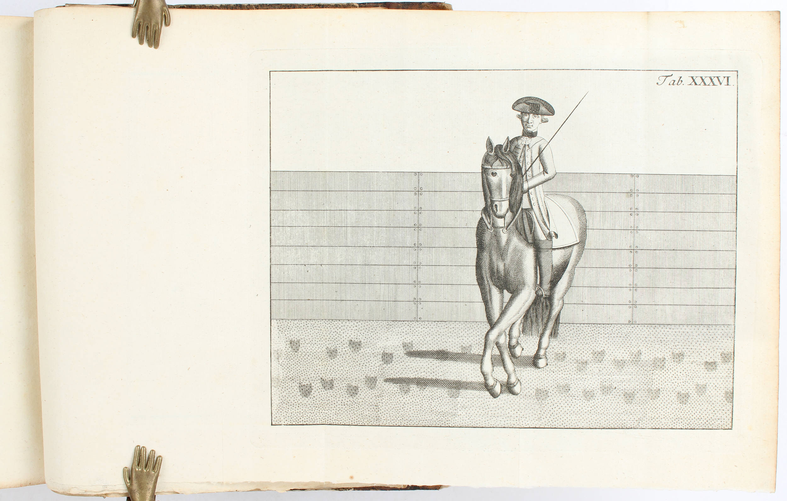 Prizelius, Vollständige Pferdewissenschaft / 2 Bde.