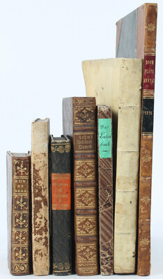 (Peyraud de Beaussol), D'Eon de Beaumont / 7 Bde.