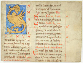 Petrus Lombardus. 6 Bll. aus 1 Handschrift 12./13. Jh. / 7 Hefte