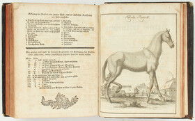 Reizenstein, Der vollkommene Pferde-Kenner