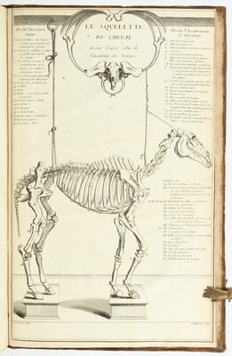 Guérinière, Ecole de Cavalerie