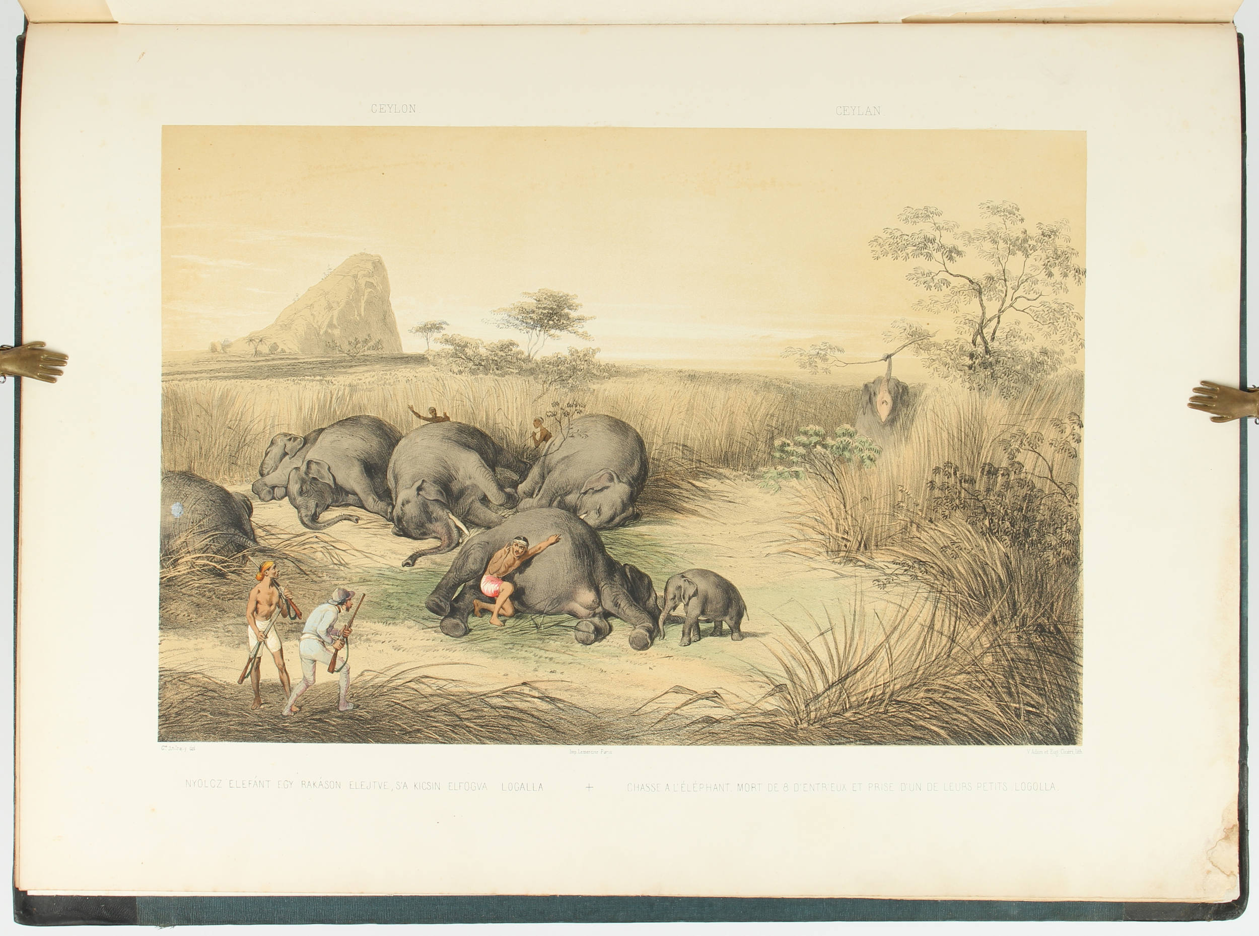 Andrásy, Reise in Ostindien, Ceylon, Java, China und Bengalen