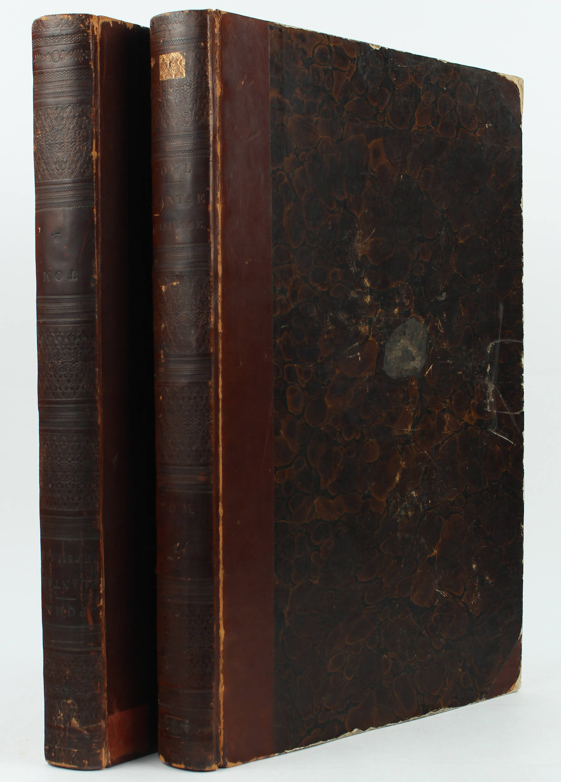 Pohl, Plantarum Brasiliae. 2 Bde.