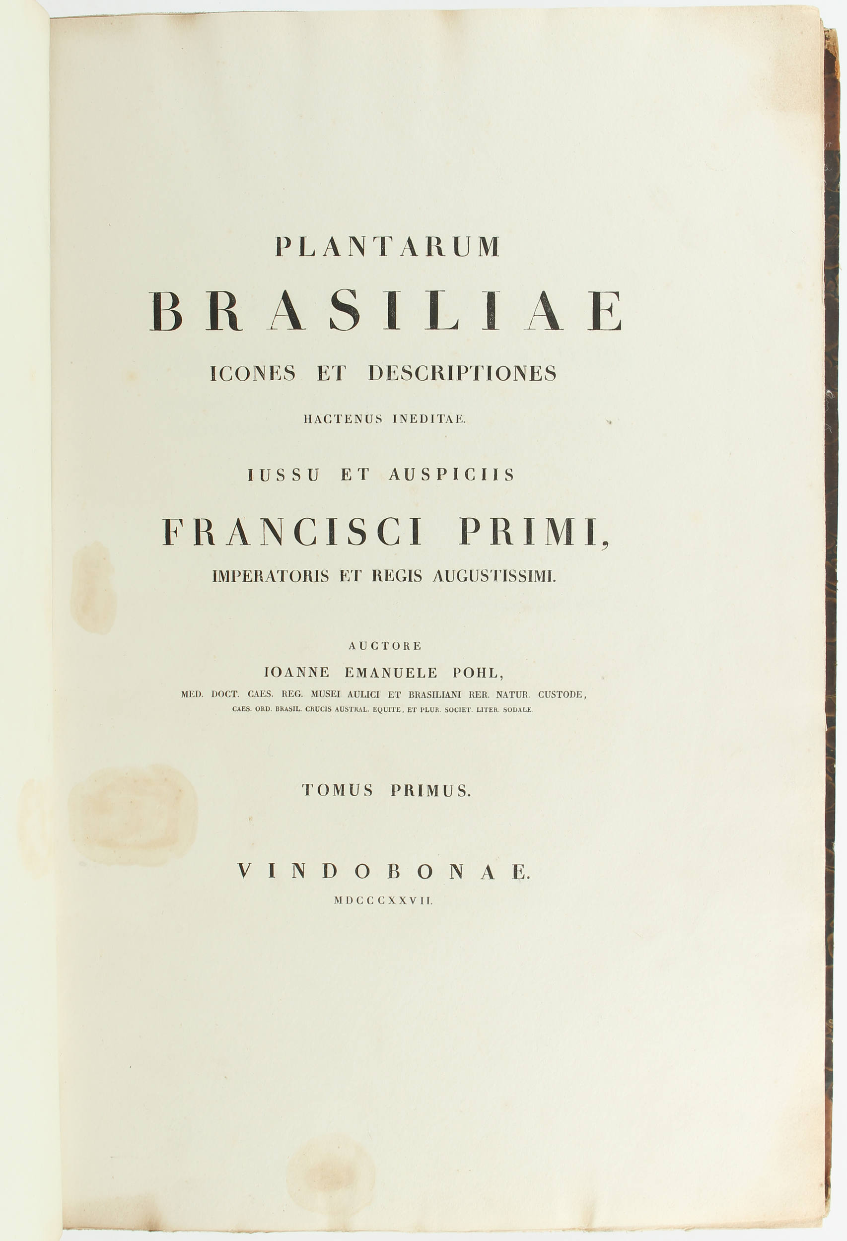 Pohl, Plantarum Brasiliae. 2 Bde.