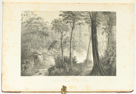 Burmeister, Reise nach Brasilien. 2 Bde.